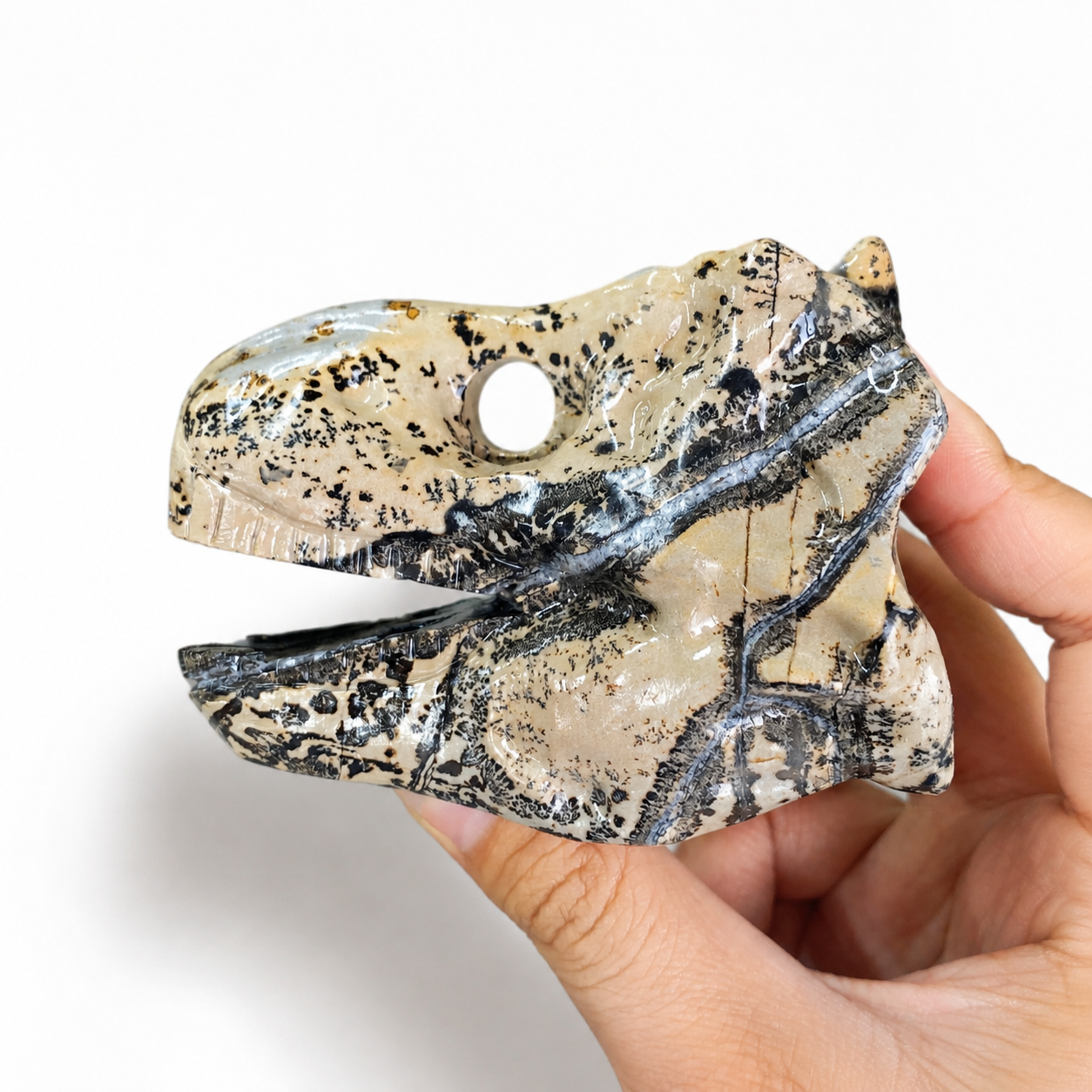 1PC natural chinese painting stone  dinosaur skull crystal carving-C054