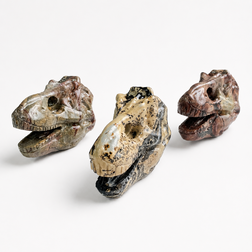 1PC natural chinese painting stone  dinosaur skull crystal carving-C054
