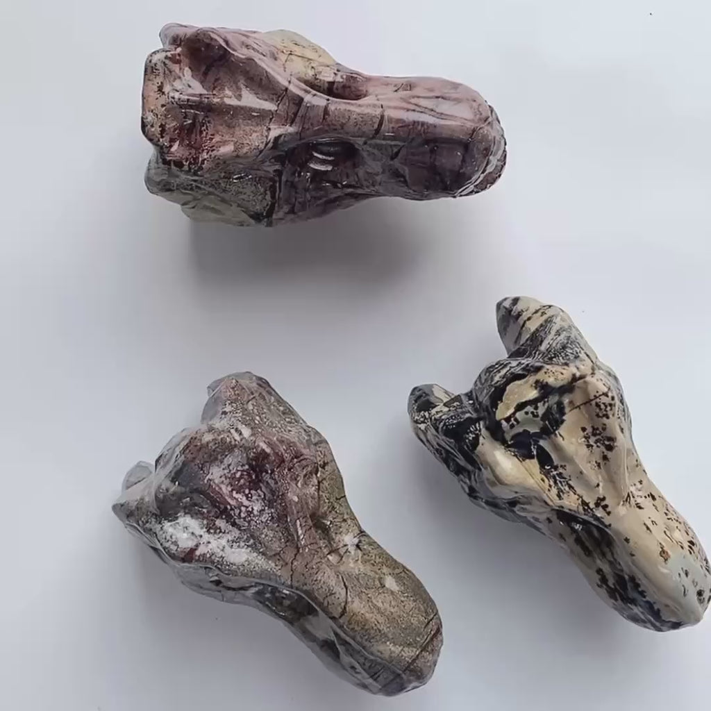 1PC natural chinese painting stone  dinosaur skull crystal carving-C054