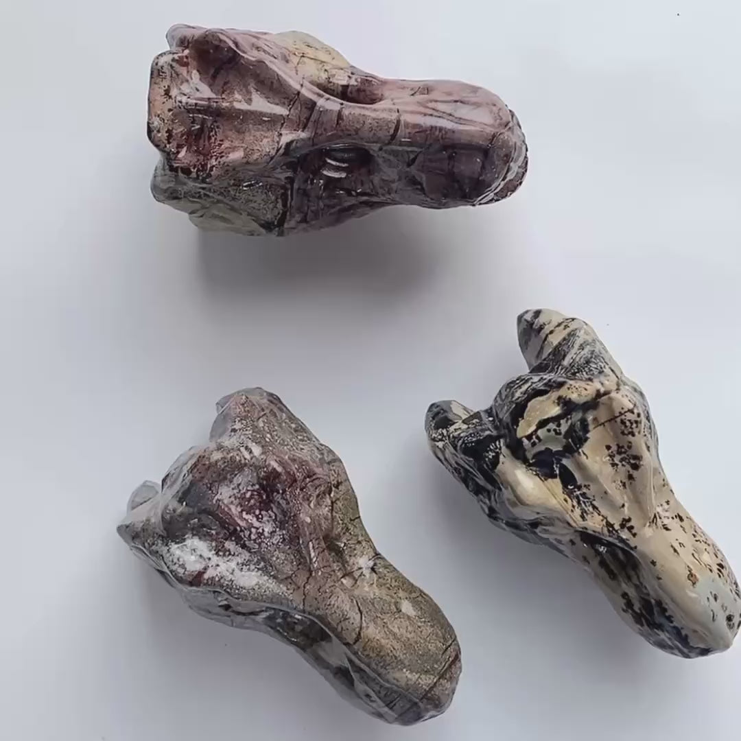 1PC natural chinese painting stone  dinosaur skull crystal carving-C054